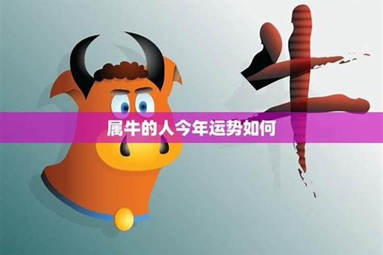 属牛今年每月的运程