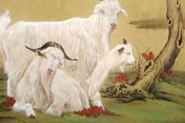 属羊人哪一年走大运