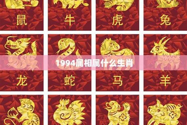 94年属狗的人28以后命运如何？