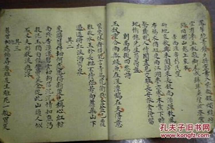 苦命兔75年中晚年