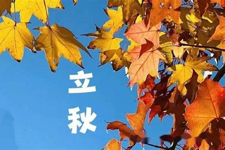 2025生肖猴的运势大全 属猴人2025年每月运势