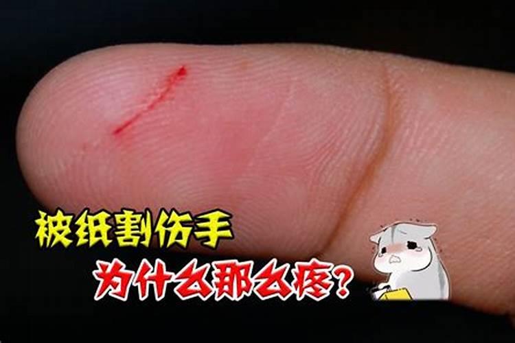 79年的羊几月出生好79年出生的羊今年怎么样