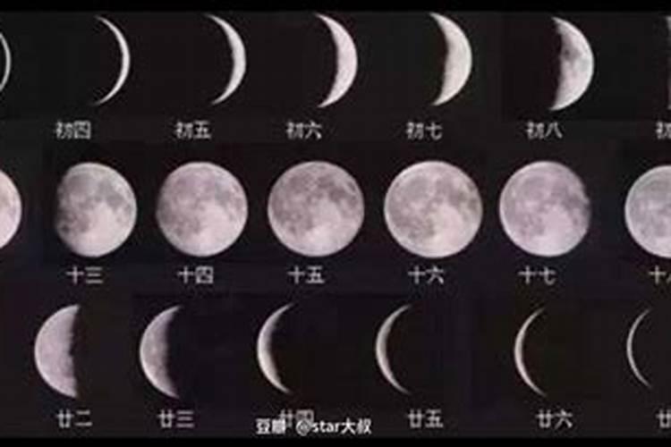 2025年属鸡的犯太岁吗