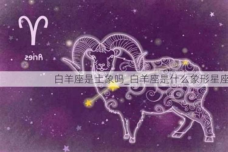 冬至到底打一生肖