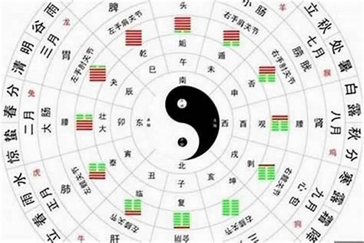 八字算命:十神中食神是什么意思