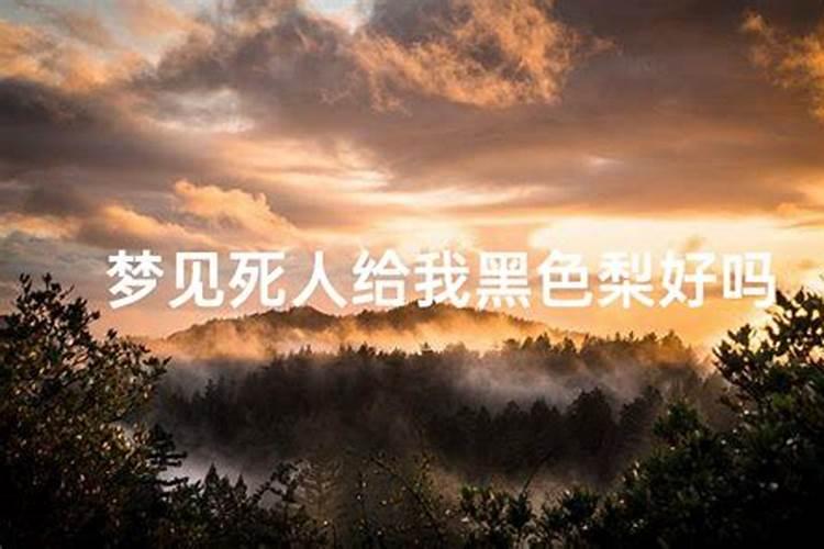 2025属龙犯太岁吗