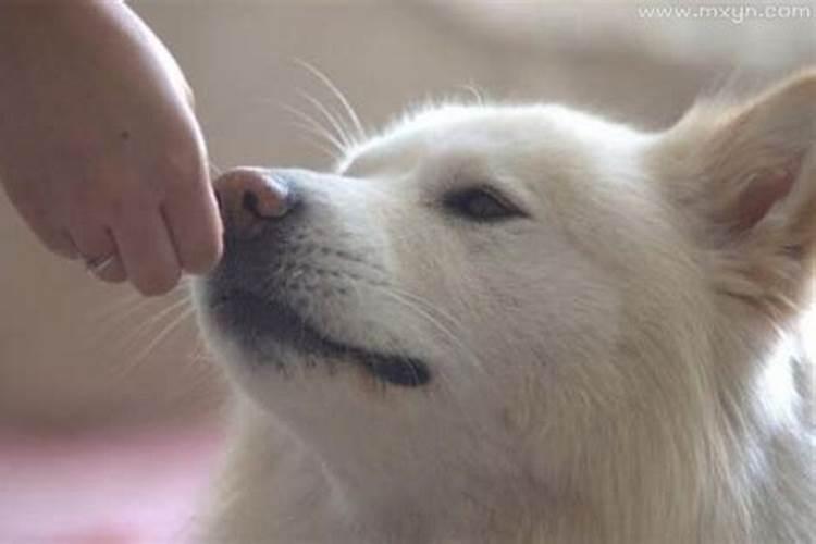 和情人分手后,每天都梦到他,这说明什么意思？