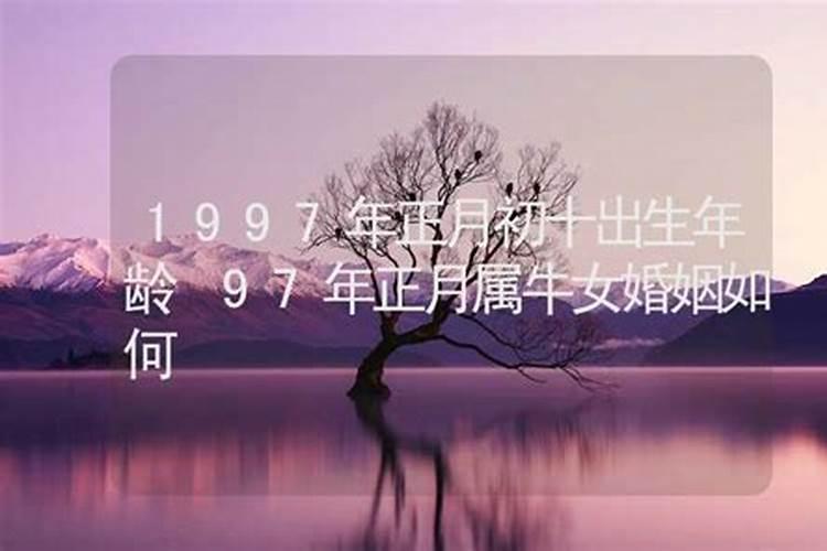 属牛97年一生婚姻状况