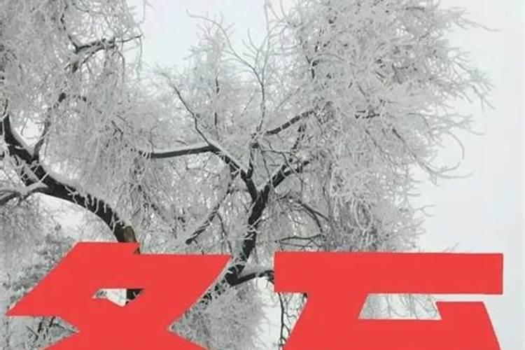每年冬至是农历几月几日