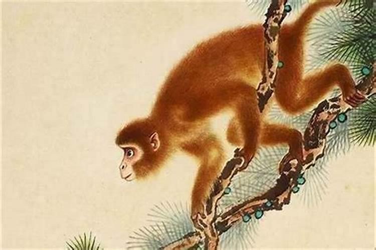 1980年的猴2025年的运势怎么样