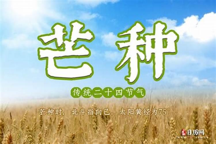 1985年属牛女士[40岁]2025年运势深度解析,了解每月的变化与机遇百度知 ...