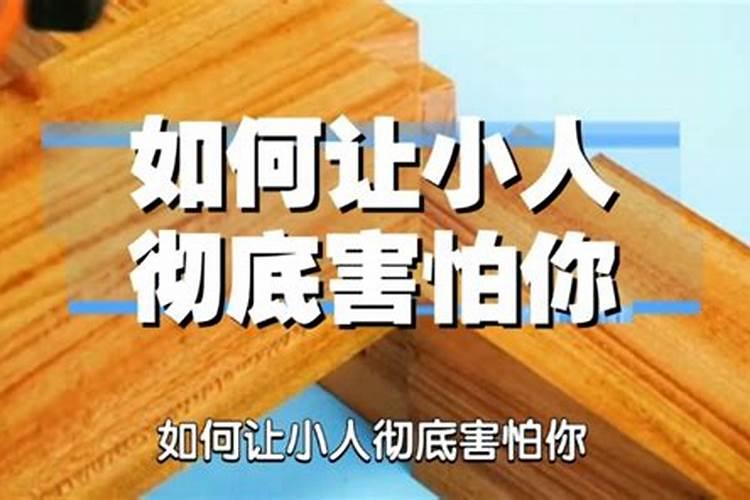 阴历九月初九是什么仙家日