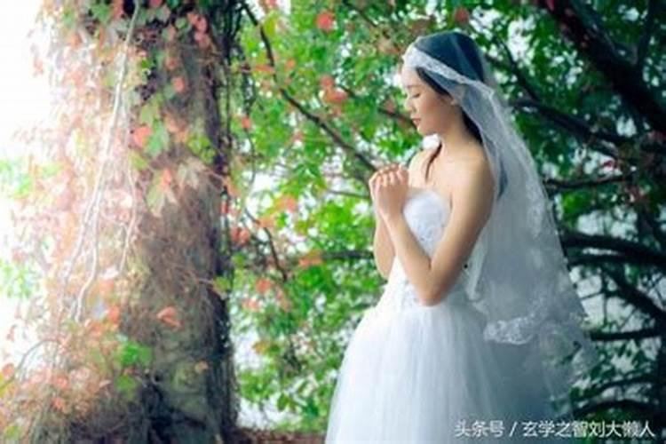 金木水火土婚配一览表