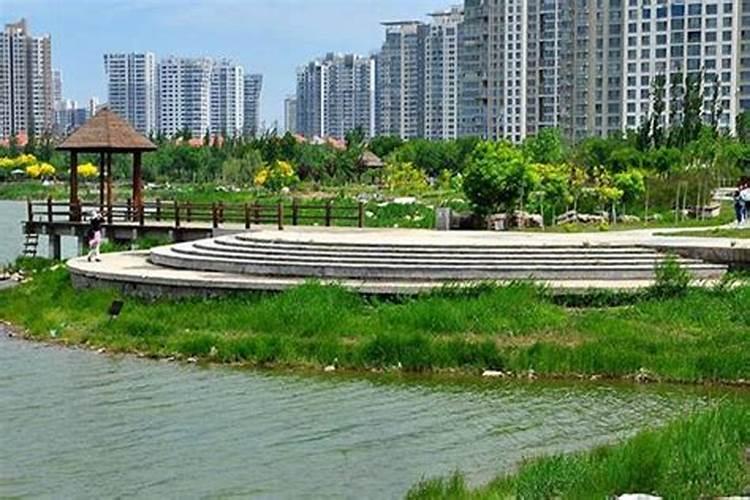 怎么算自己的生辰八字和五行,怎么算命里五行缺什么