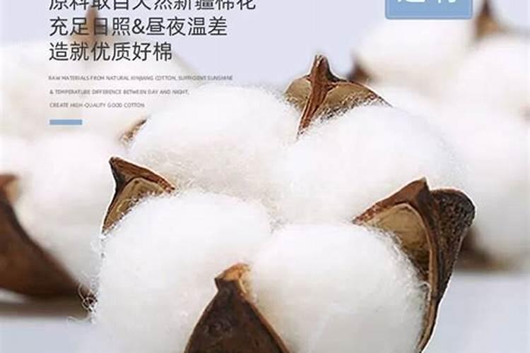 阴历生日赶上清明节好不好