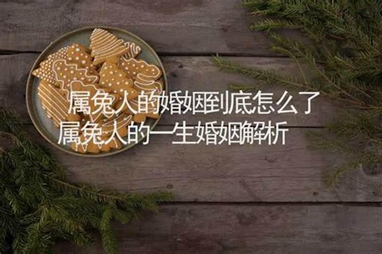 属兔婚姻一生有几大劫 应该怎样化解？