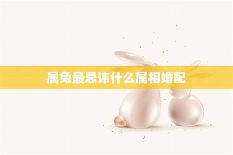 1987年属兔女婚姻顺不顺 1987年出生的属兔女婚姻状况详解