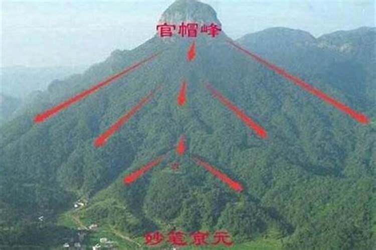 假童子命的脸部特征 假童子命的面相解析