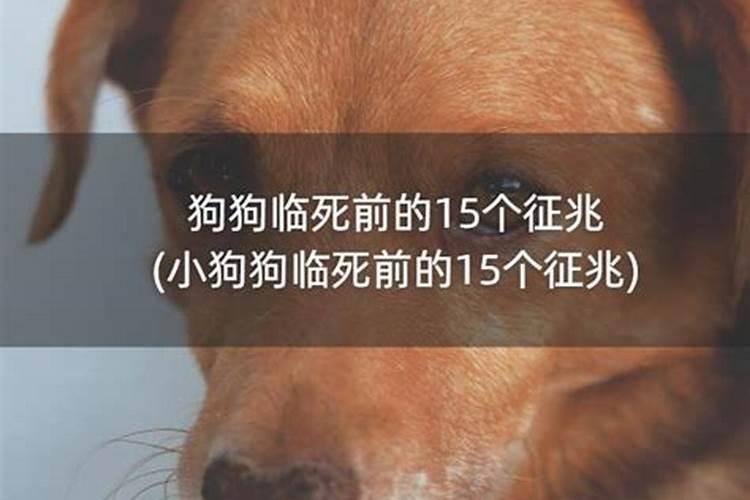 梦见前夫和他的现任妻子什么意思