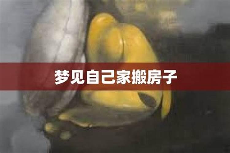 梦见搬家是什么意思梦见搬家预示什么