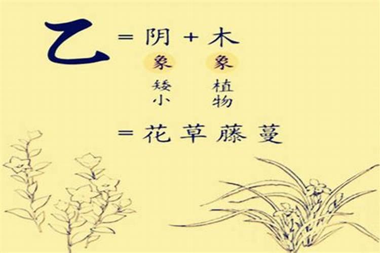 2025年出生的人的命运如何呢？