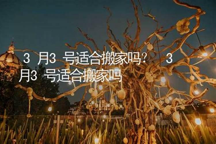 55岁的人今年属什么
