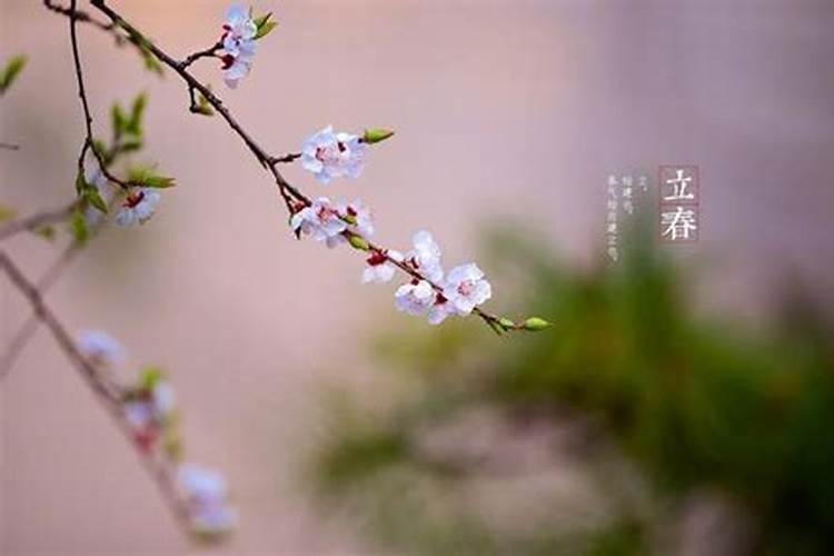 关于立春的民间风俗
