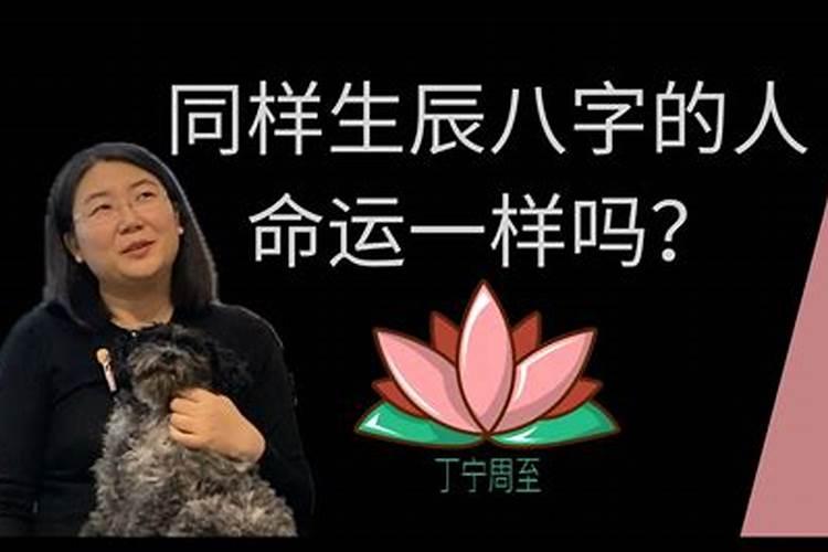 在履历上婚姻无效还是未婚吗
