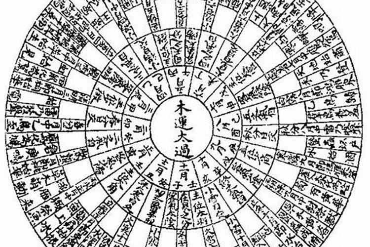 1982年农历腊月23日子时出生2025年的命运
