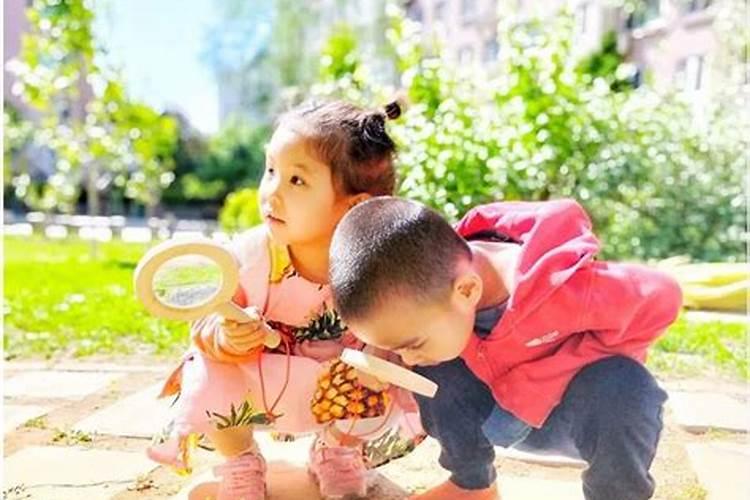 82年女狗2025农历年运势及运程每月运程