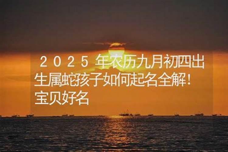 2025属蛇人的全年运势如何