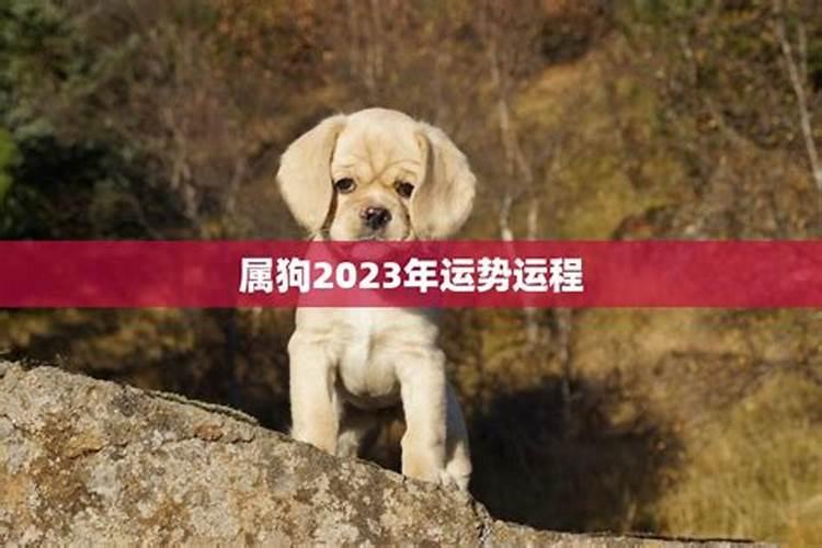 2024年属狗人最倒霉的月份