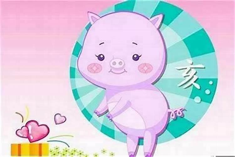 属兔男和属猪女的婚姻配吗