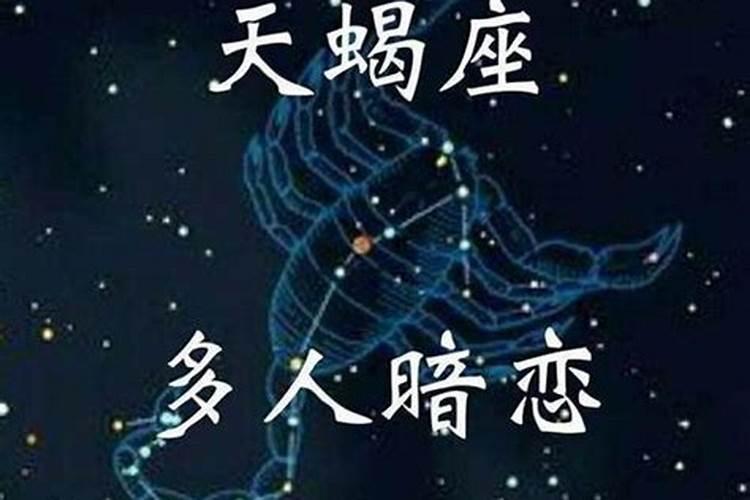 2025年属什么生肖2025年属哪个生肖