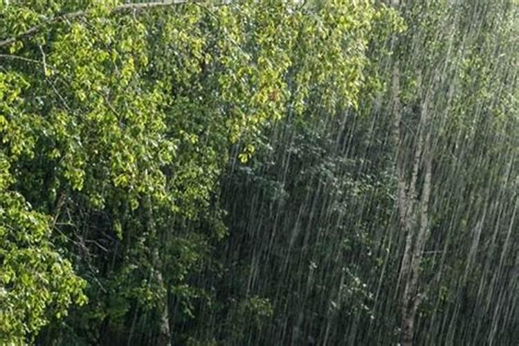 梦见下大雨涨洪水是什么兆头