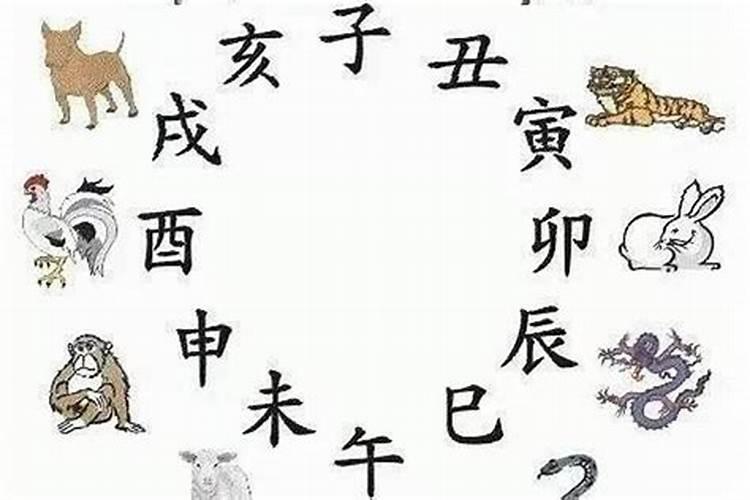 合婚姻:属兔的女人与属羊男八字好吗 婚姻怎么样