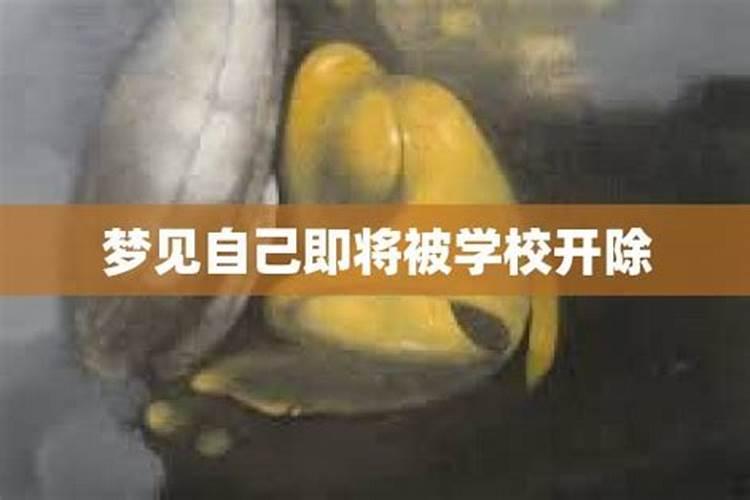 冬至前上坟还是冬至后上坟 冬至上坟是冬至当天吗