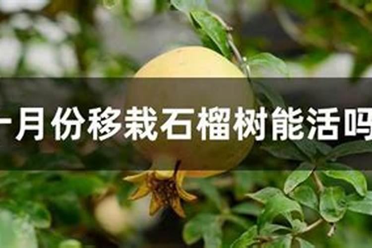 梦见一群人抬棺材出殡好不好？