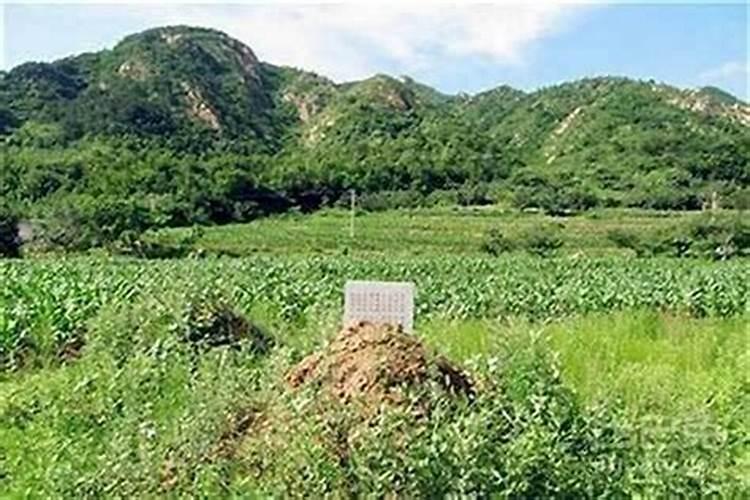坟地怎么看旺老大老二,怎么知道祖坟旺谁