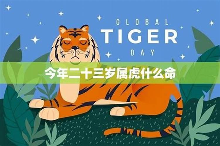 属虎女2025年运势及运程及每月运势