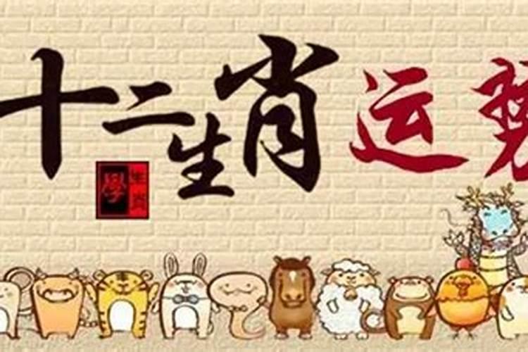 为什么属羊的人命不好 属羊逐年运程