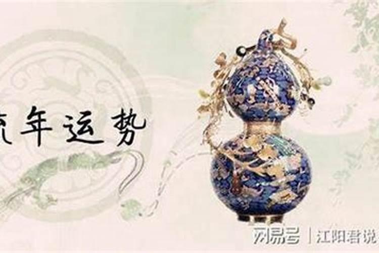 梦见两只白狐狸进家的预兆