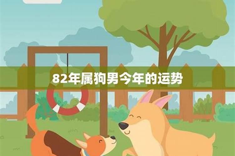 公司起名字常见查重方法