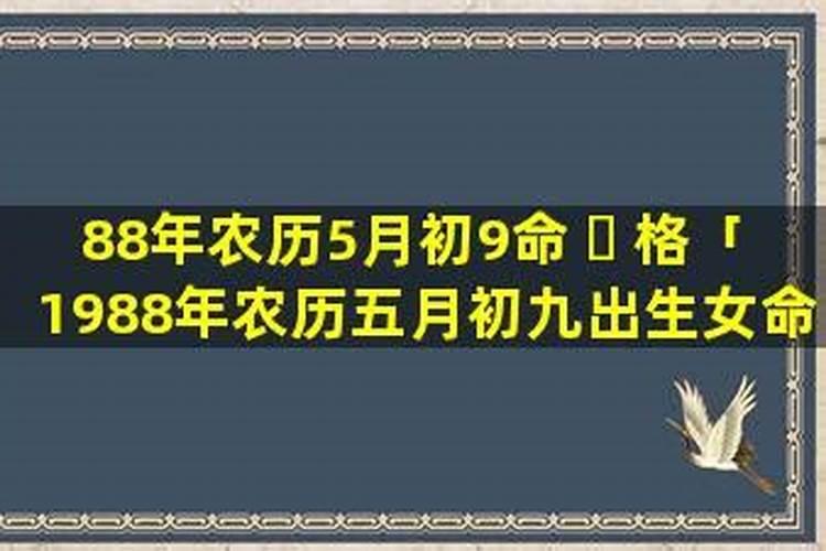 女性,一九八八年农历五月初九亥时生测命运