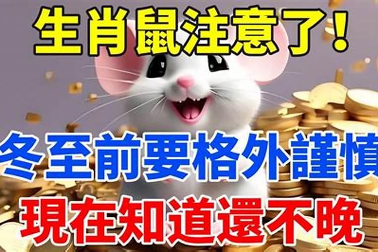 2024年属兔的多大年龄2024年属兔岁数表