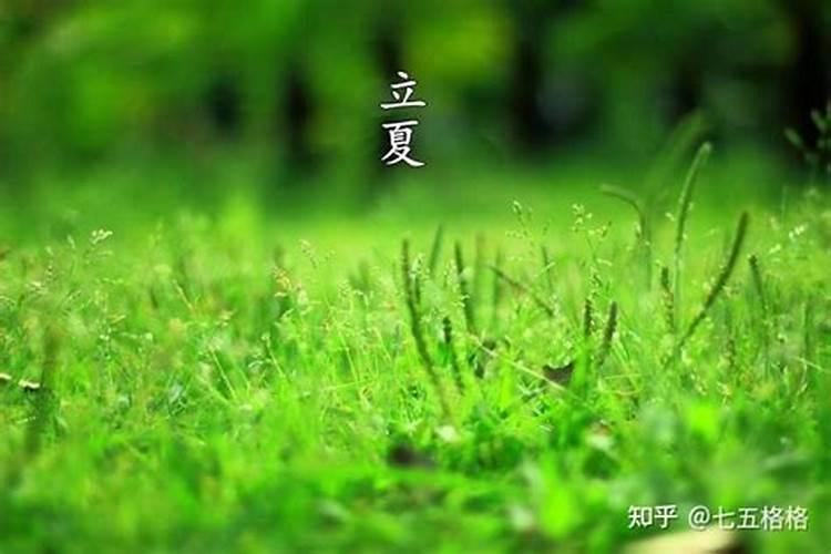 还阴阳债计算公式大全