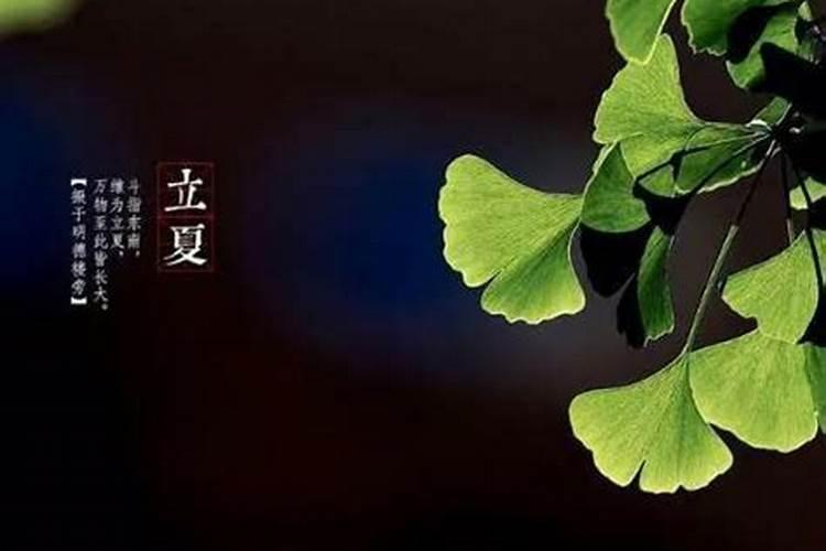 梦到儿子被人害死是什么意思啊？