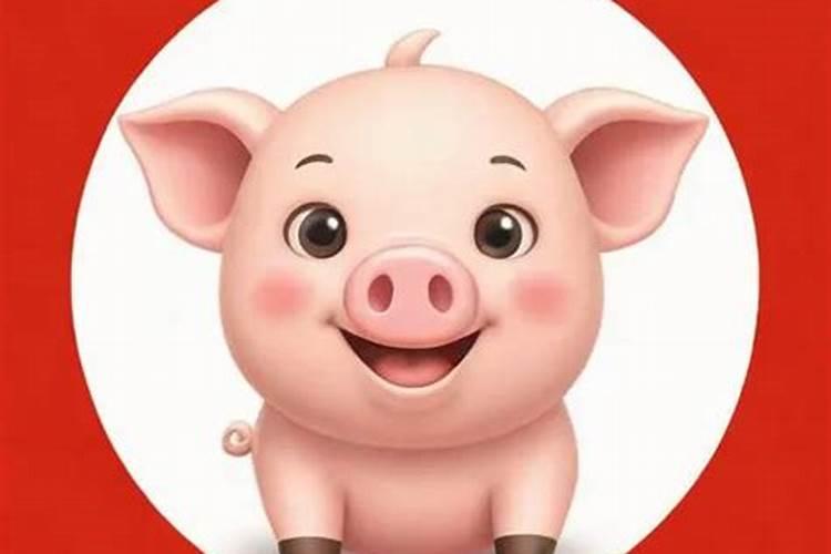 属猪2025年每月运势