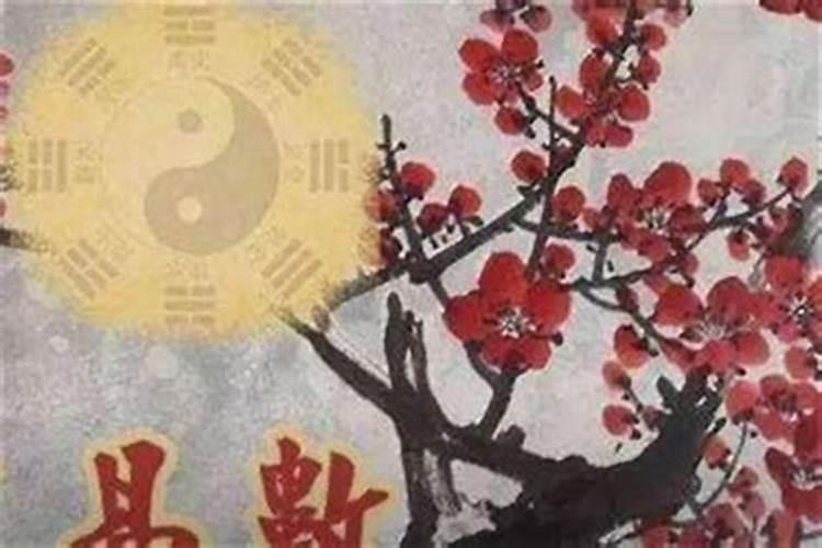 问结婚时间。梅花易数年月日时间起卦,本卦为需卦 六爻动,上六:入于...