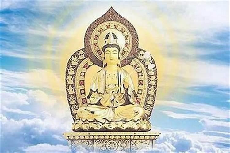属虎人2025全年运势详解 属虎人2025年每月运势